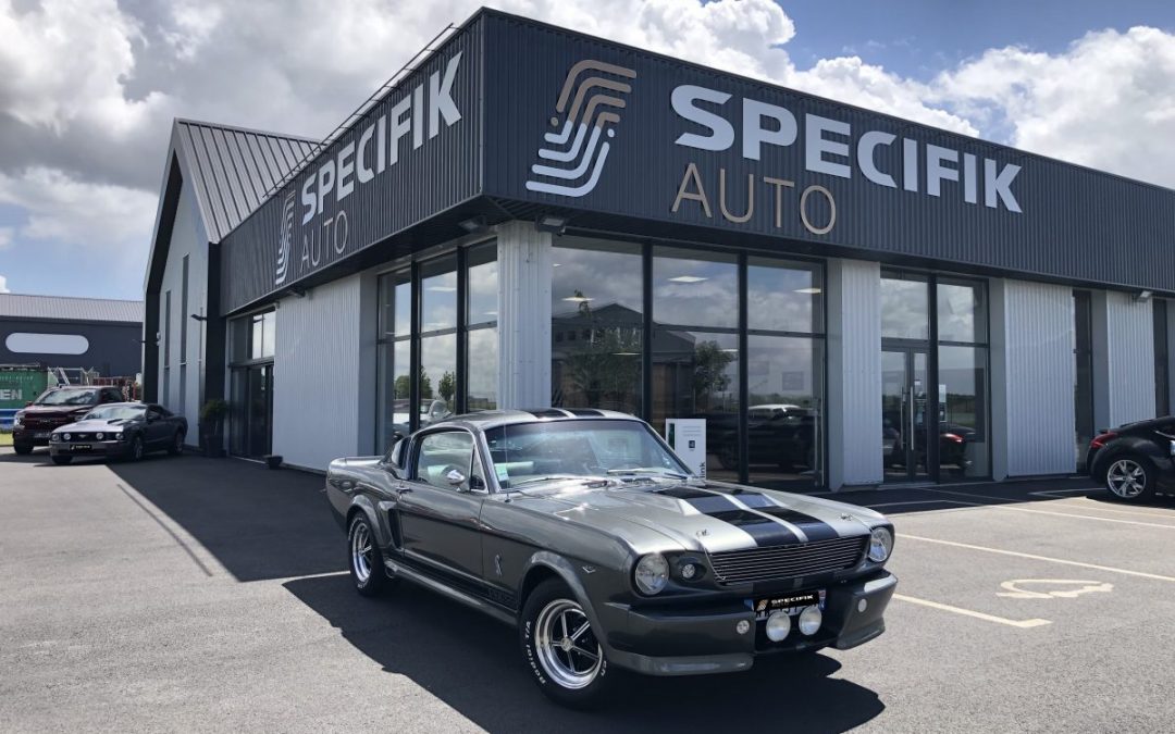 Mustang Fastback Eleanor